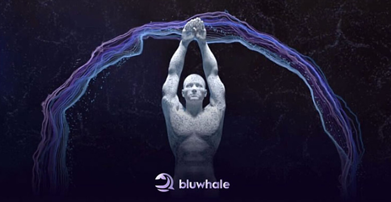 币安 Alpha 新项目 Bluwhale是什么?一文深度解析