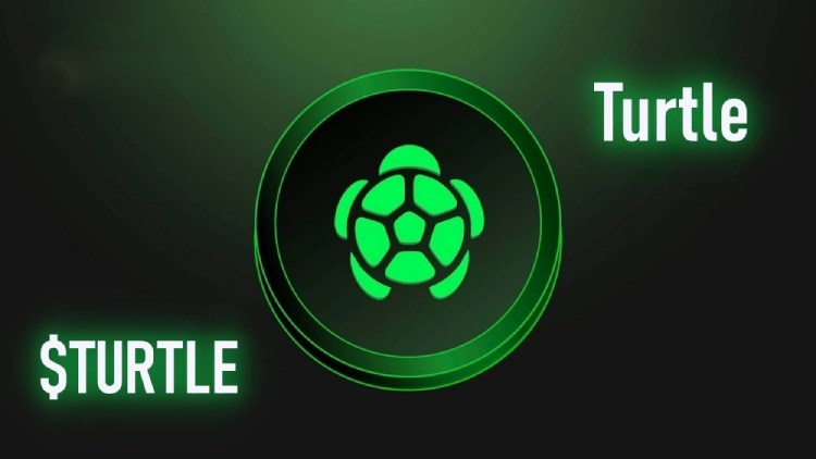 TURTLE币价格预测
