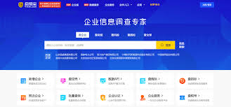 如何直接进入启信宝网页版