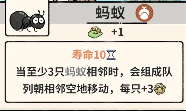 《猫神牧场》蚂蚁流玩法攻略
