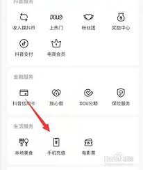 抖音抖币充值入口在哪