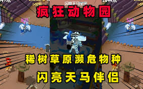 疯狂动物园中濒危动物的位置在哪