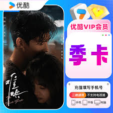 优酷会员付费后没到账怎么办