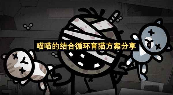 喵喵的结合循环育猫方案分享