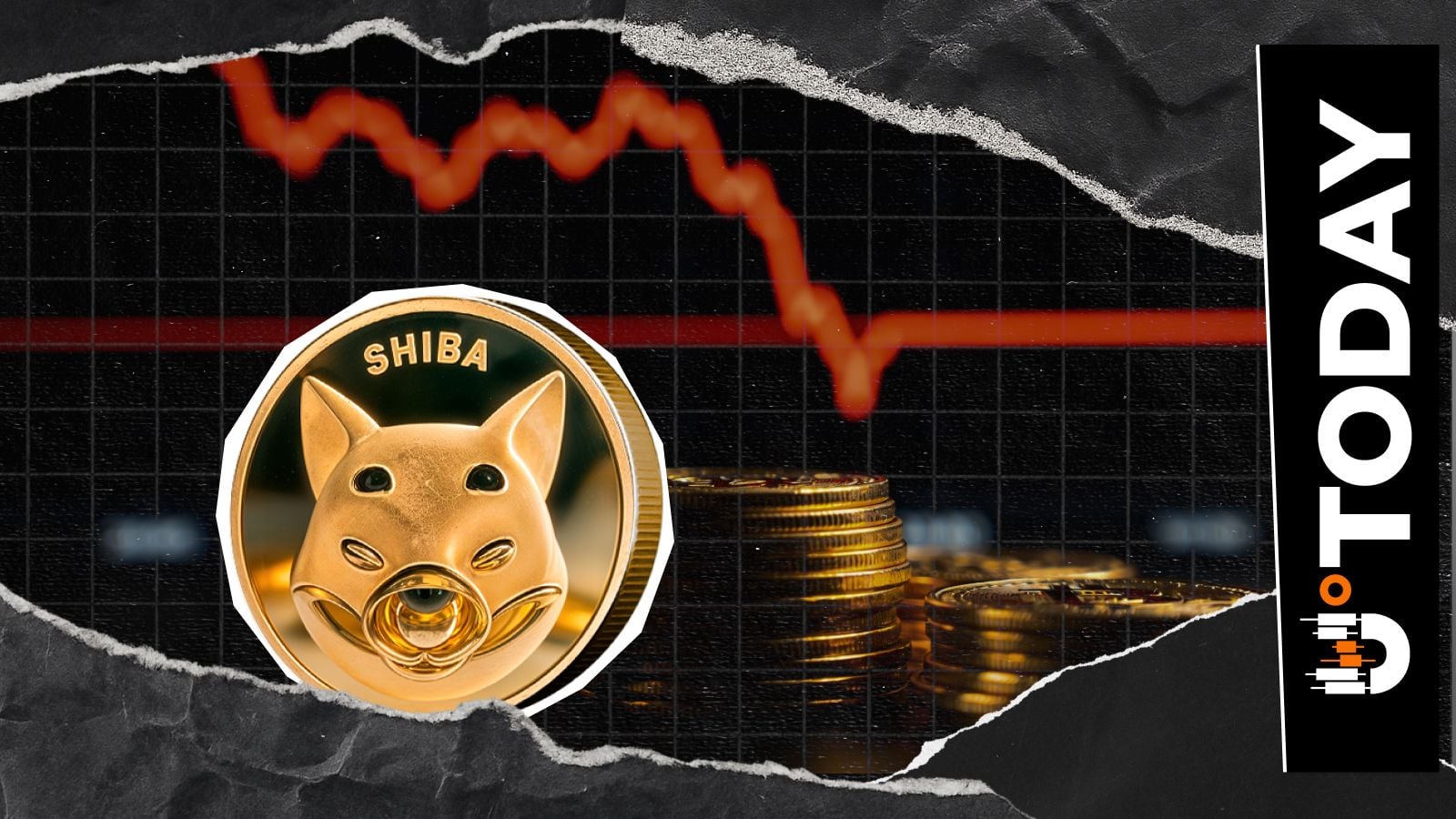 SHIB市场更新亮点：资金净流出激增129%