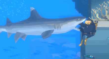 潜水员戴夫三齿鲨在哪 三齿鲨具体位置