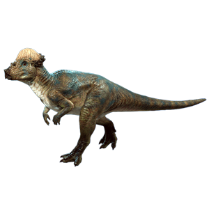 《侏罗纪世界：进化3》厚头龙类恐龙介绍