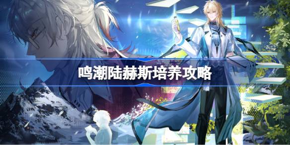 鸣潮陆赫斯声骸武器阵容推荐详情