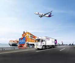 如何在圆通快递单号查询官网查询单号