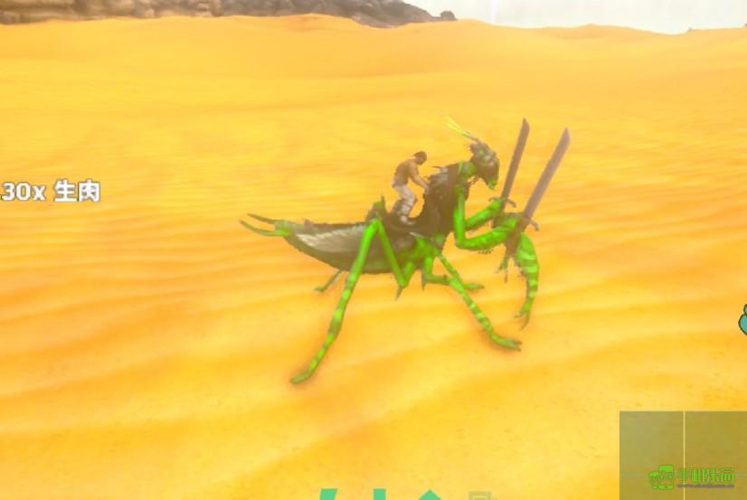 方舟生存进化螳螂坐骑驯服方式