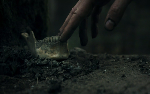 幽林深处兑换码大全 幽林深处最新可用兑换码汇总