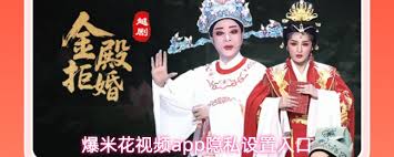 爆米花视频app隐私设置位置在哪