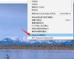 如何在ie11中设置允许弹窗