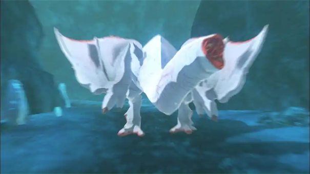 怪物猎人物语3命运双龙侵兽奇怪龙归巢怎么打