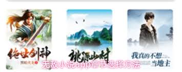 无敌小说app怎么用