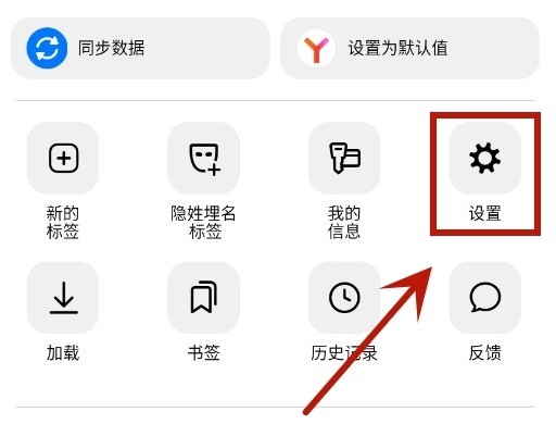 俄罗斯引擎设置界面