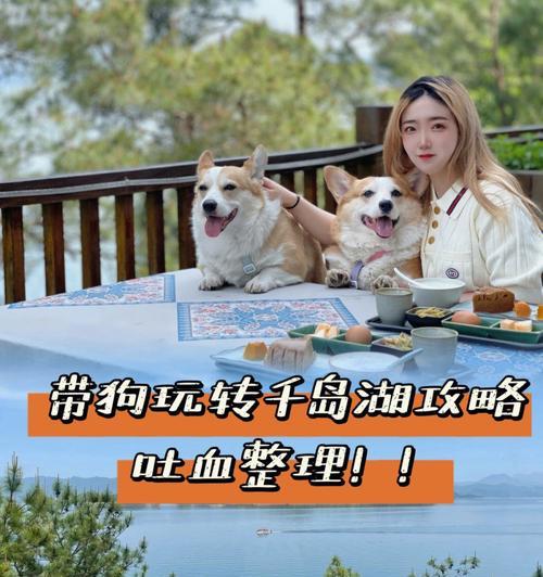 悠悠江湖(探索悠悠江湖,解锁宠物技能的秘密!)-第1张图片- 悠悠江湖(探索悠悠江湖,解锁宠物技能的秘密!)-第1张图片-