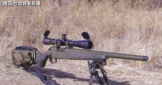 《天龙狙击枪技能加点攻略》(掌握天龙狙击枪技能加点方法,提升游戏实力)-第2张图片- 《天龙狙击枪技能加点攻略》(掌握天龙狙击枪技能加点方法,提升游戏实力)-第2张图片-