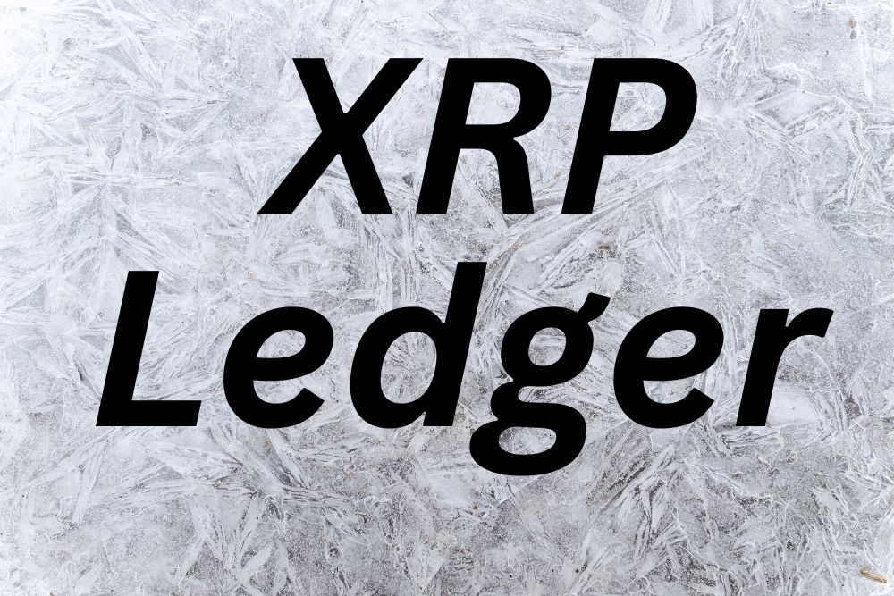 XRP账本交易量激增，最新动态一览