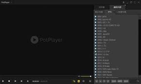 PotPlayer怎么设置无边框模式