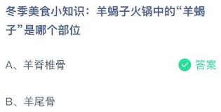 羊蝎子火锅里的羊蝎子是哪个部位