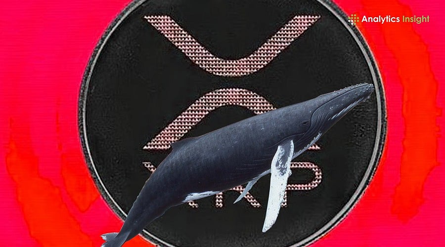 为什么XRP巨鲸在2027年前囤积一种新的山寨币