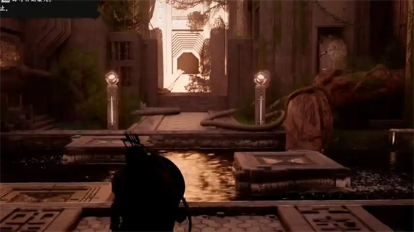 红色沙漠花瓣耳环怎么获得