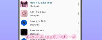 棉花音乐app有哪些歌曲源