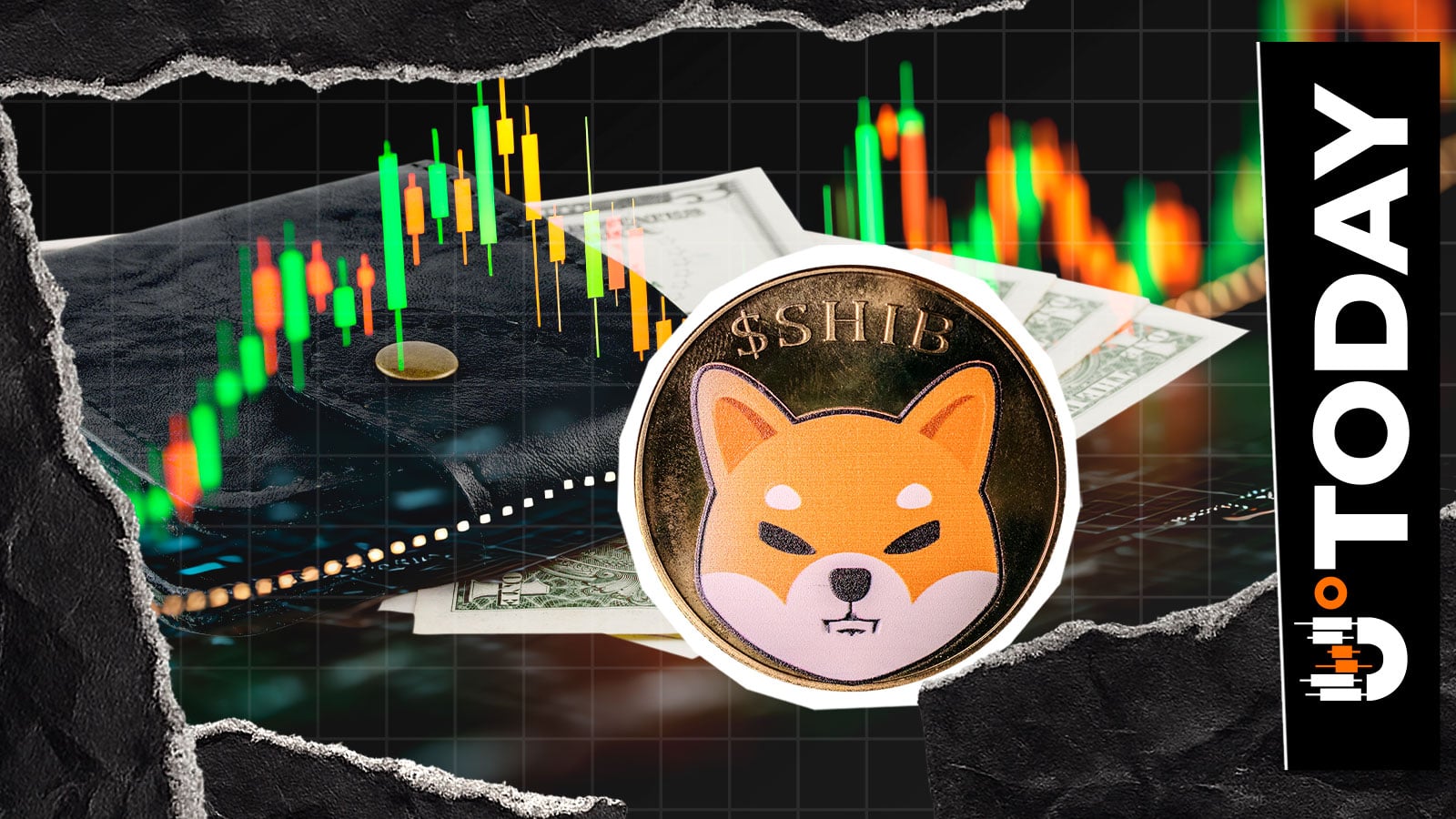 柴犬团队分享SHIB持有者激增的最新消息:“稳步增长”