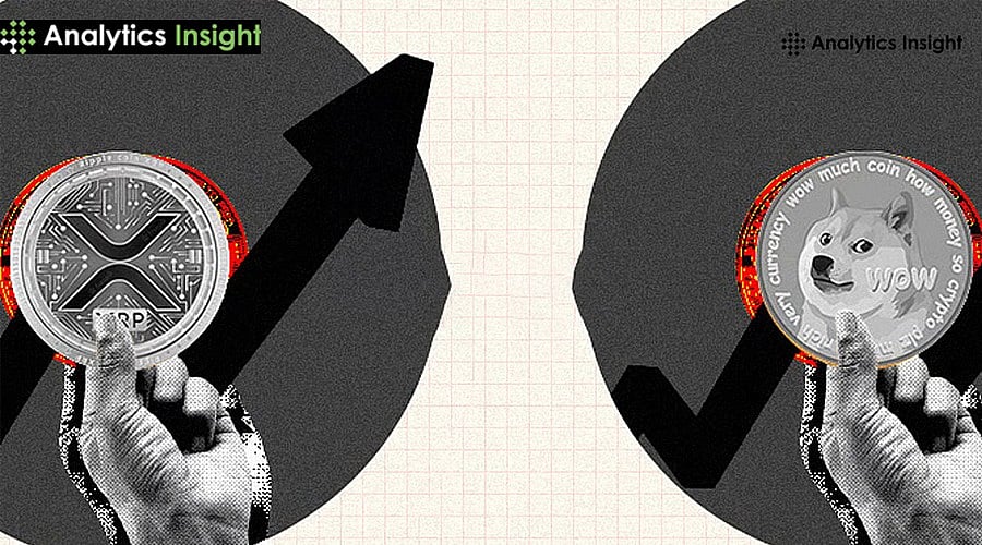 在暴跌期间哪种加密货币更值得买入：XRP还是柴犬币？