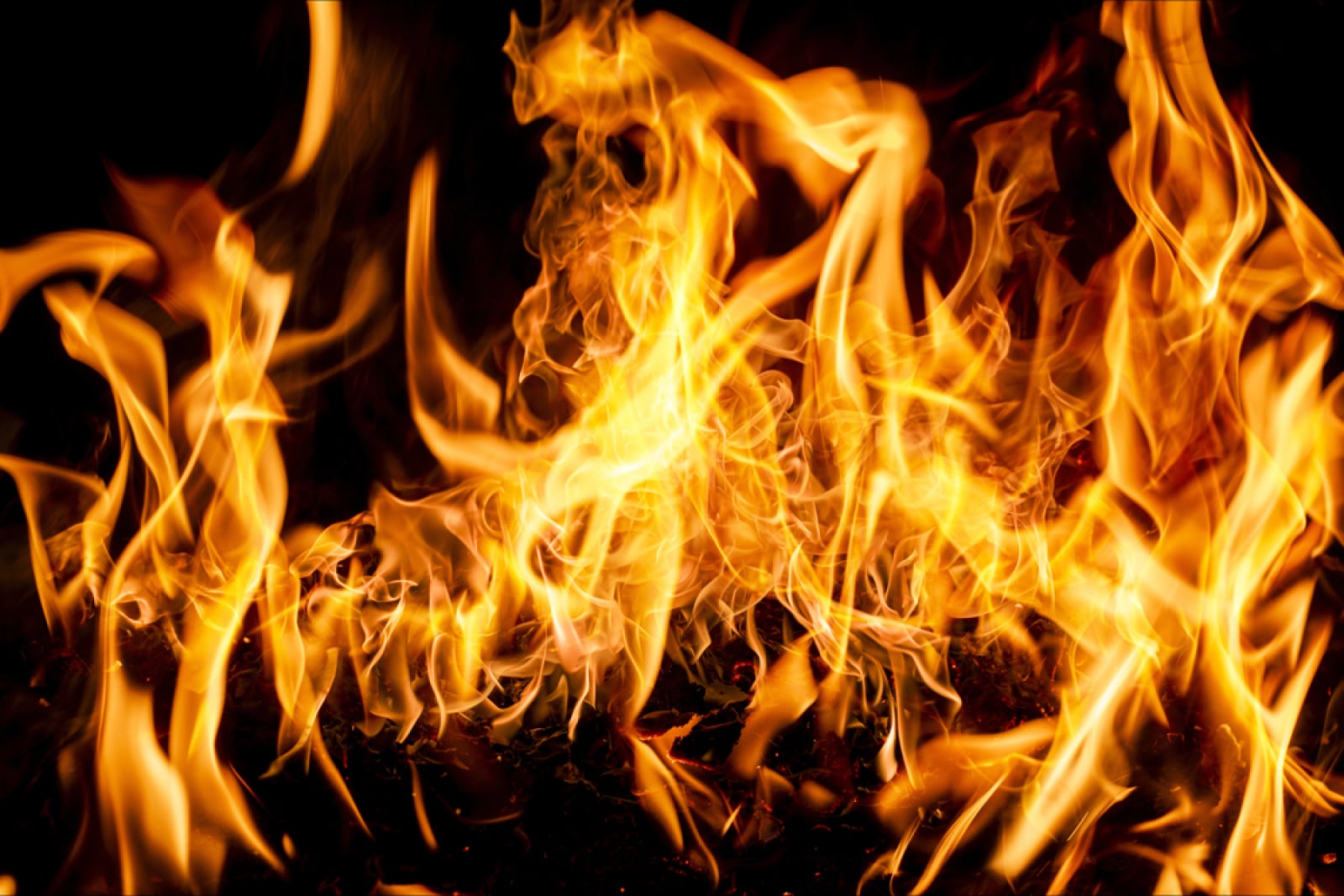 瑞波持续销毁RLUSD。发生了什么?