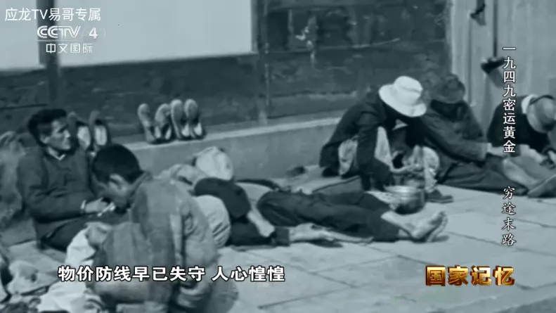 应龙TV电视版最新手机版