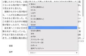 纵横小说如何开启听书模式