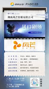 风芒邀请码如何填写