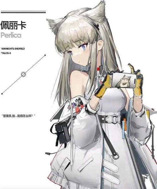 《明日方舟：终末地》佩丽卡配队攻略