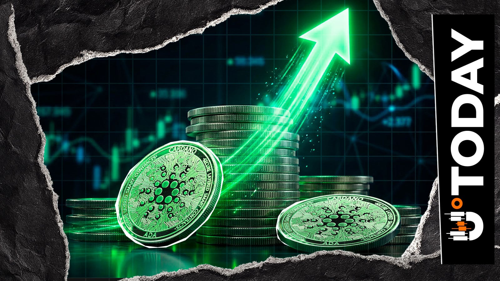 卡尔达诺（ADA）交易量激增80%