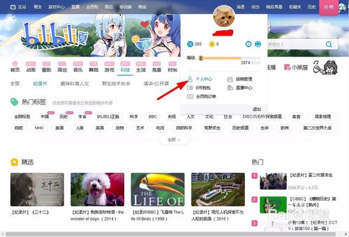 哔哩哔哩bilibili网页版入口在哪里