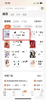 番茄小说模块自动翻页功能怎么操作