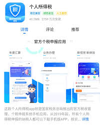 国家税务总局个税入口在哪