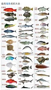 哪种鱼类有水中软金之称