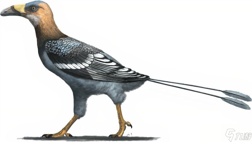 《Demeo x Dungeons & Dragons: Battlemarked》中最强的恐龙