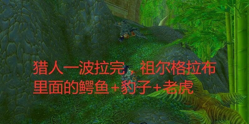 猎人豹子学技能攻略（打造无敌猎人豹子，技能升级秘籍一览）-第2张图片-