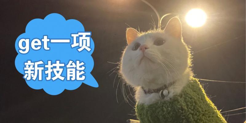 姐妹解锁新技能攻略（如何与姐妹一起实现梦想，解锁新的技能天赋）