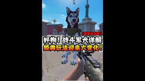 和平精英军犬怎么获取