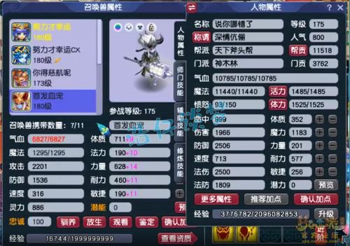 梦幻西游神木装备如何配置