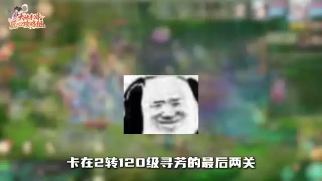 寻芳13-14关速通与机制双解 照着打必过关！