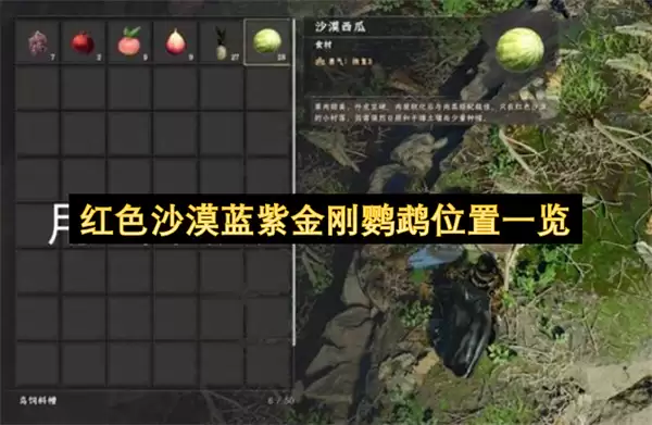 红色沙漠蓝紫金刚鹦鹉位置一览