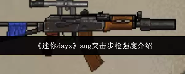 迷你dayz中aug突击步枪的性能解析
