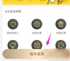 伊对会员怎么开通