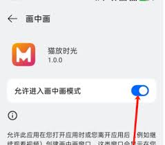 猫放时光app如何进行投屏